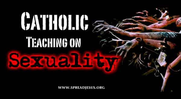 Catholic Teaching On Sexuality Outside Of Marriagedivorce And Remarriagechastity And Sexual 5395