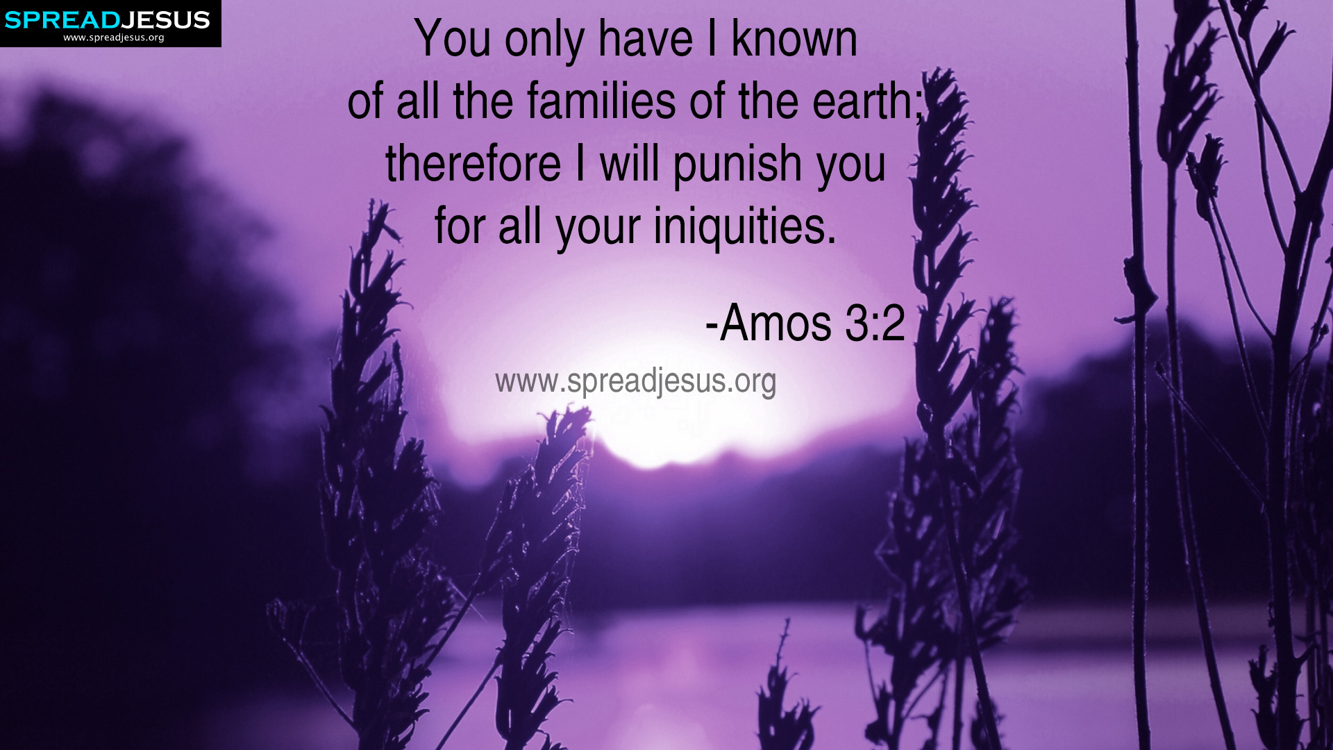 BIBLE QUOTES AMOS 3:2 HD-WALLPAPERS FACEBOOK TIMELINE COVERS