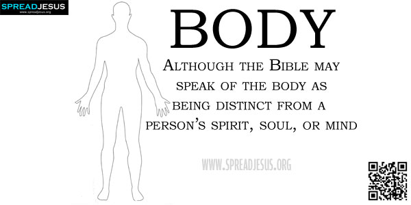 Biblical Definition Of BODY