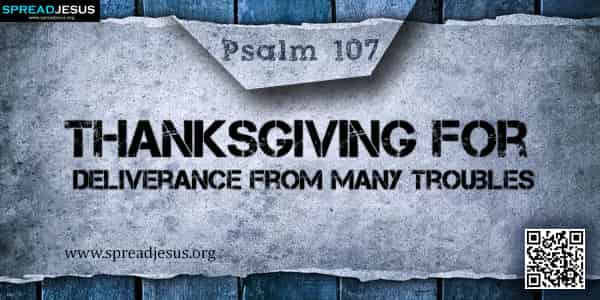 Last minute cheap thanksgiving flights