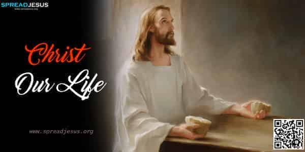 Christ Our Life