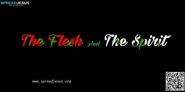 The Flesh And The Spirit