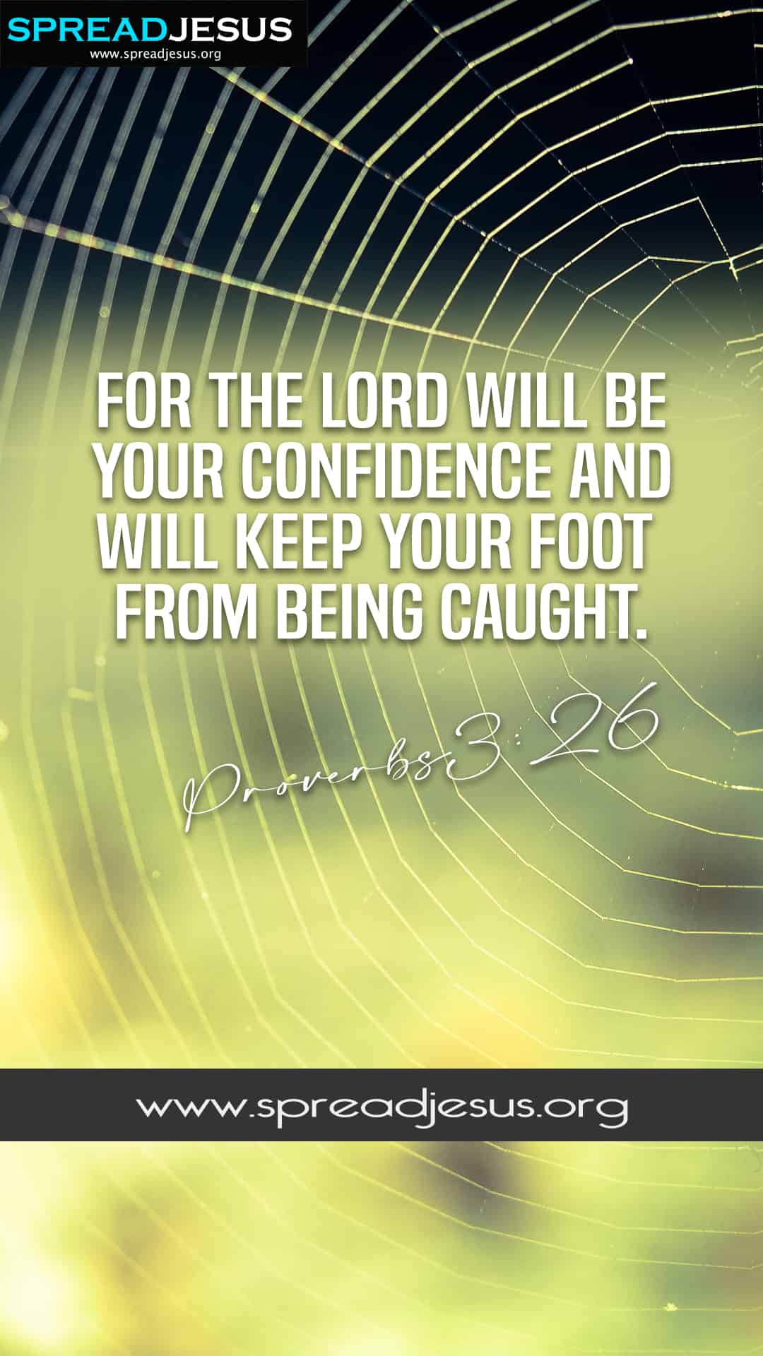 bible-quotes-proverbs-3-26-mobile-wallpaper-download