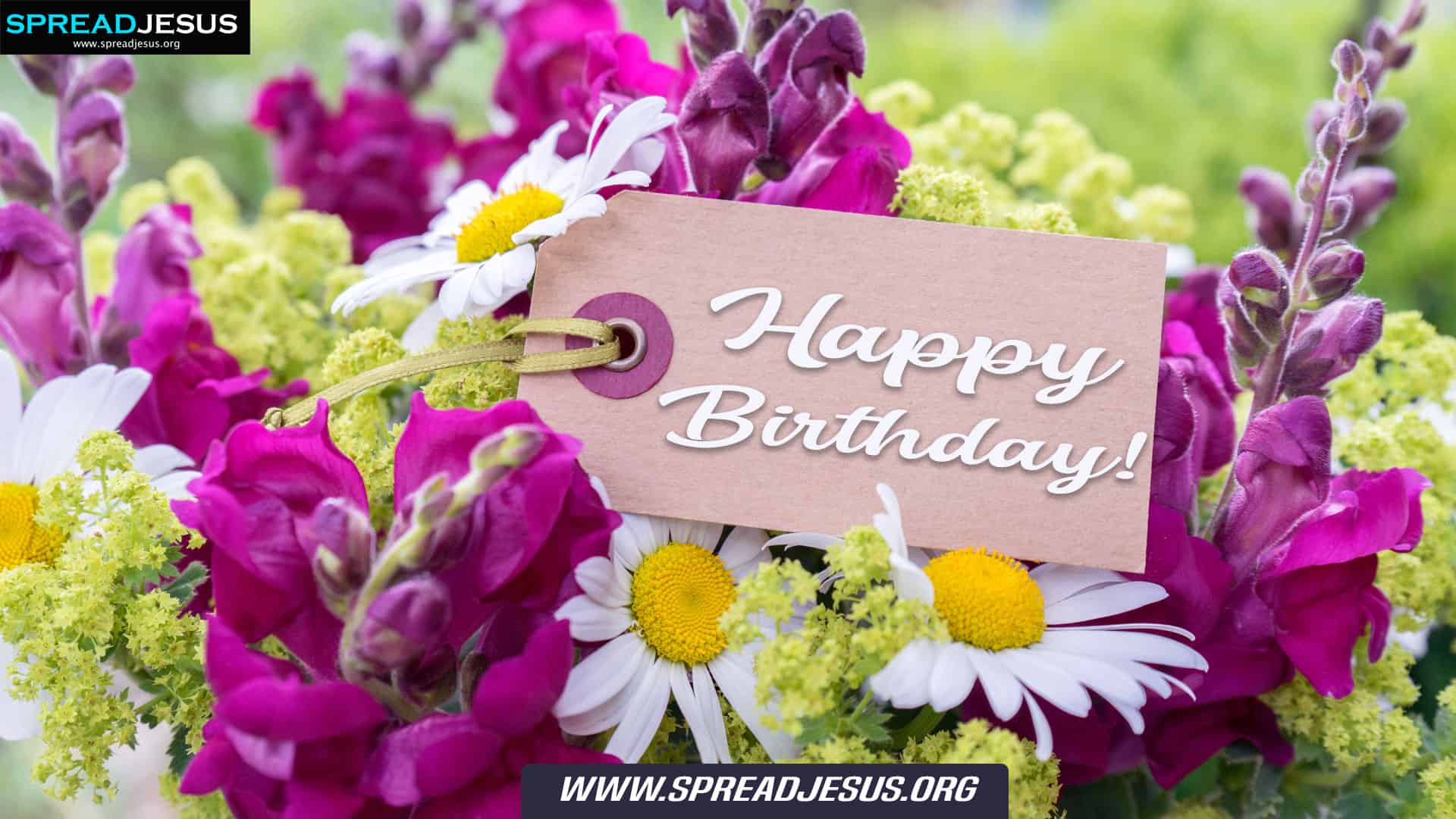It’s your birthday! Let us celebrate Happy Birthday Quotes Wishes Greetings