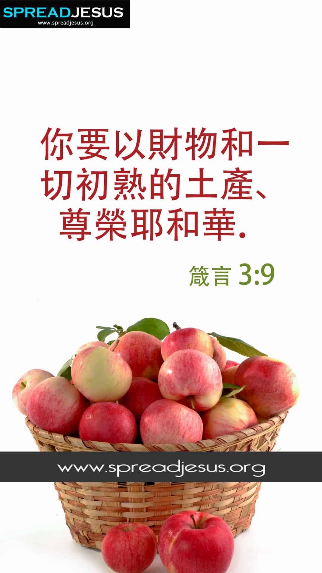 Proverbs 3:9 Chinese Bible Quotes
