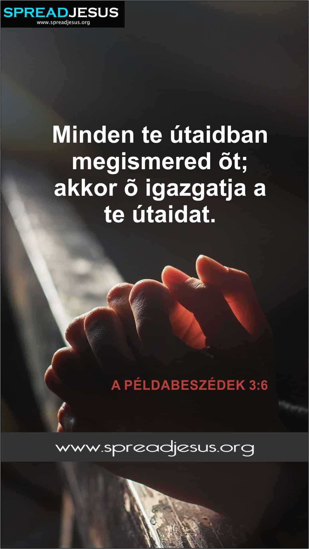 Proverbs 3:6 Hungarian Bible Quotes