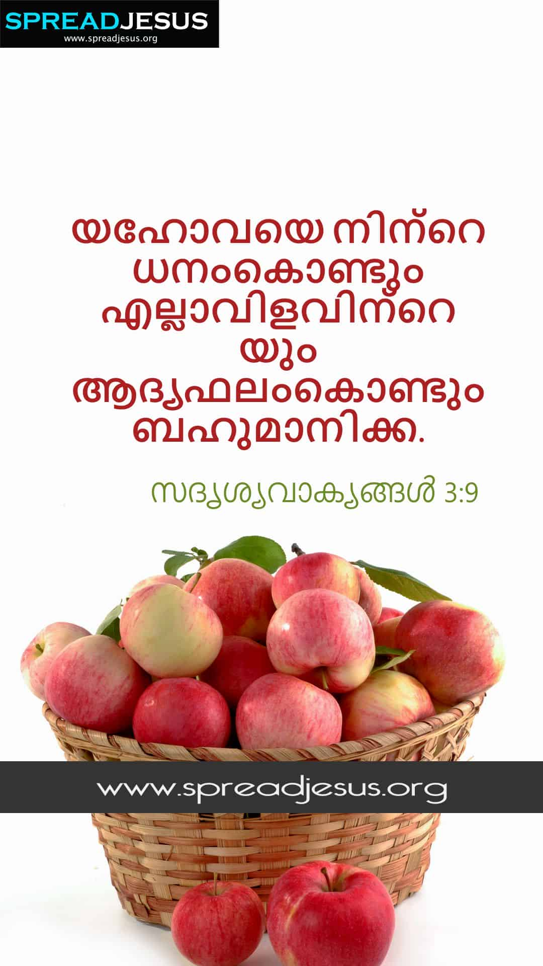 proverbs-3-9-malayalam-bible-quotes-3-9-mobile