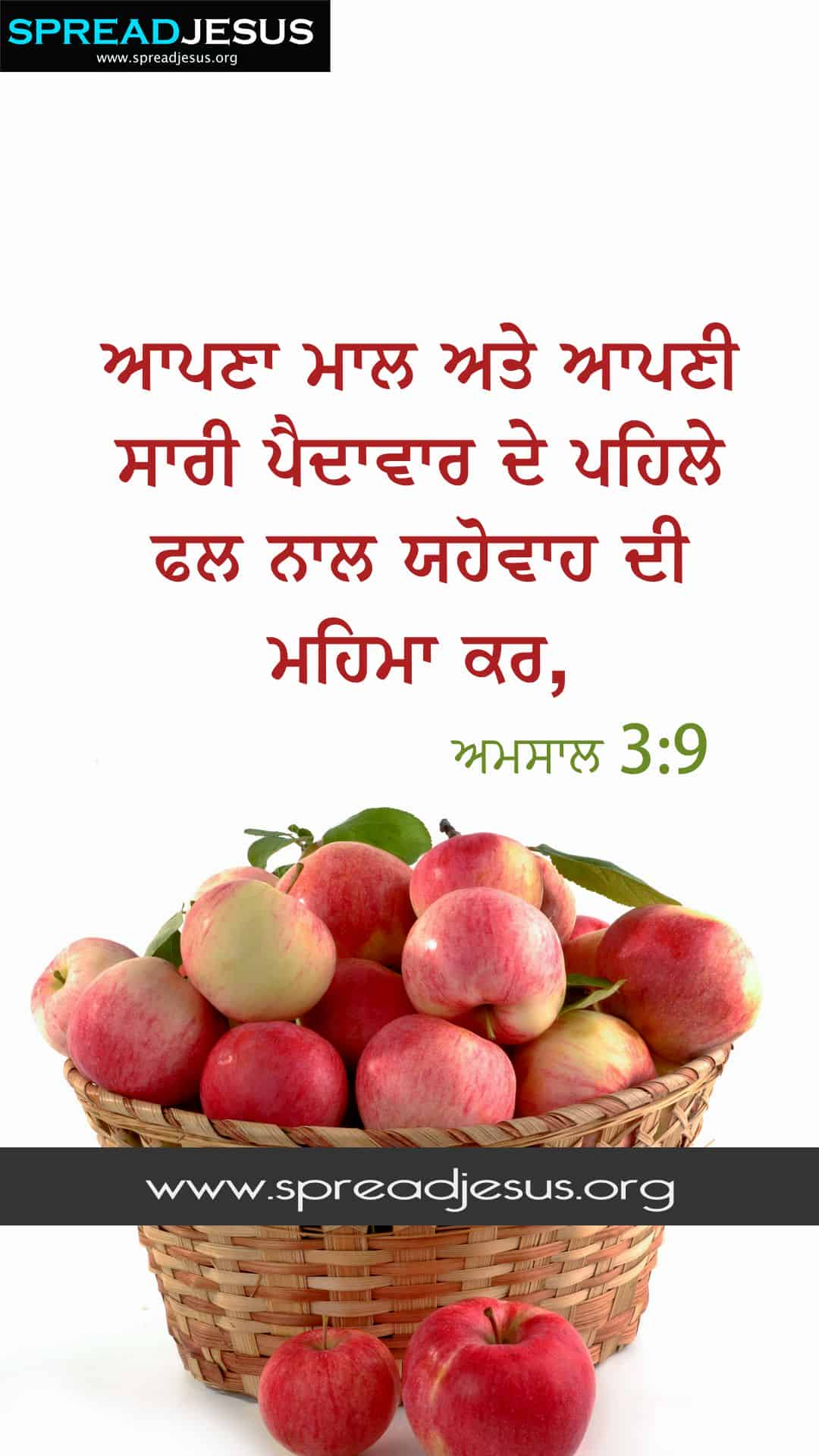 Proverbs 3:9 Punjabi Bible Quotes