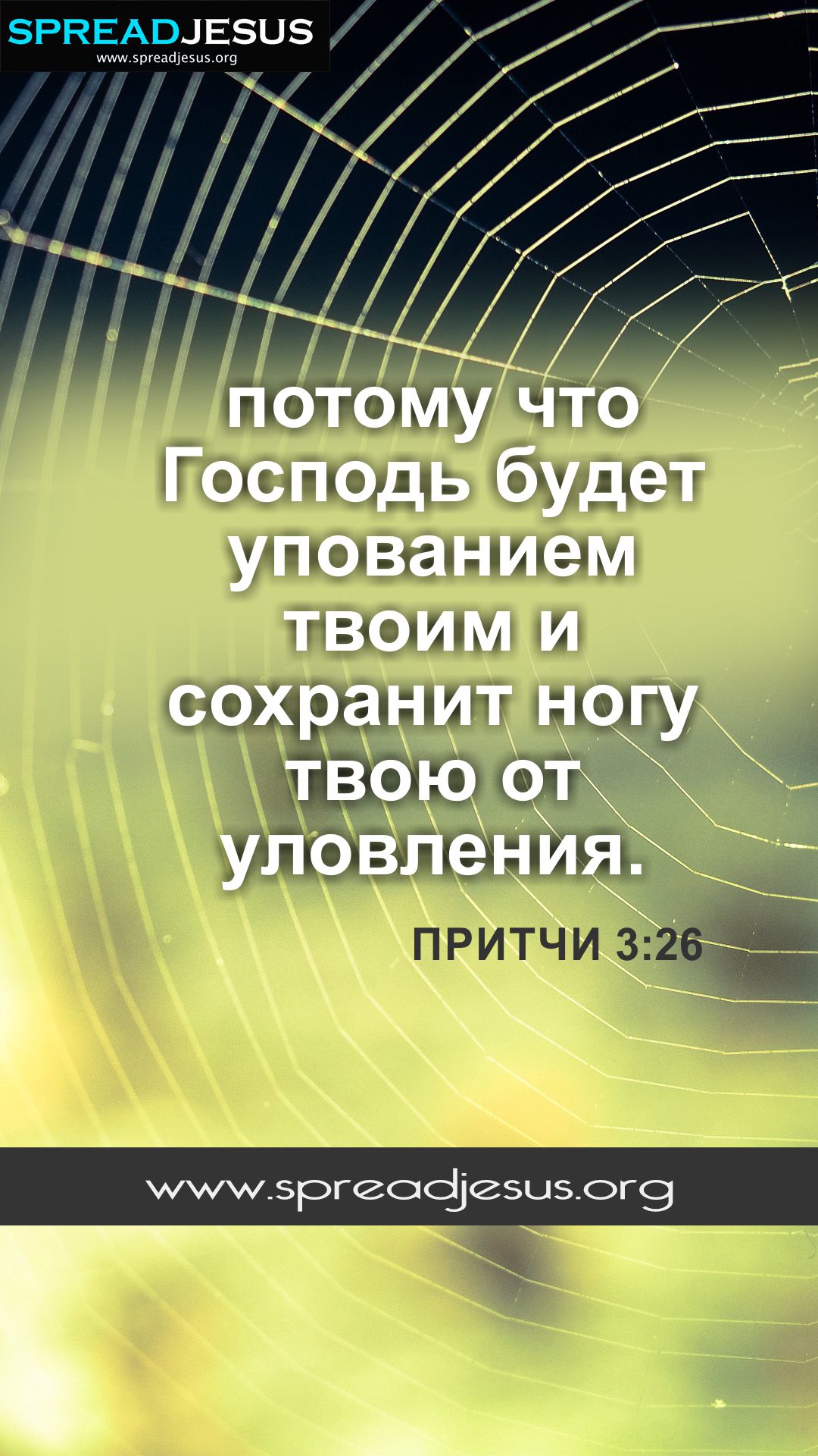 Proverbs 3:26 Russian Bible Quotes ПРИТЧИ 3:26 Mobile Wallpaper, Facebook  cover, HD-Wallpapers Download