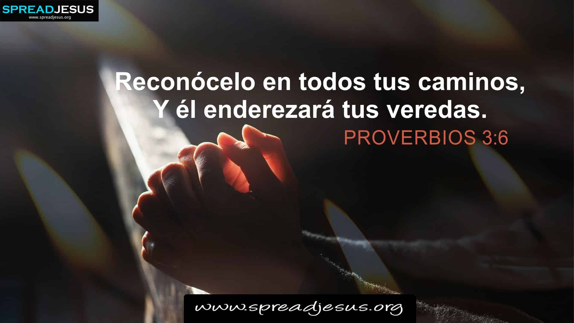 Spanish Bible Quotes HD-Wallpapers Proverbs 3:6 Download