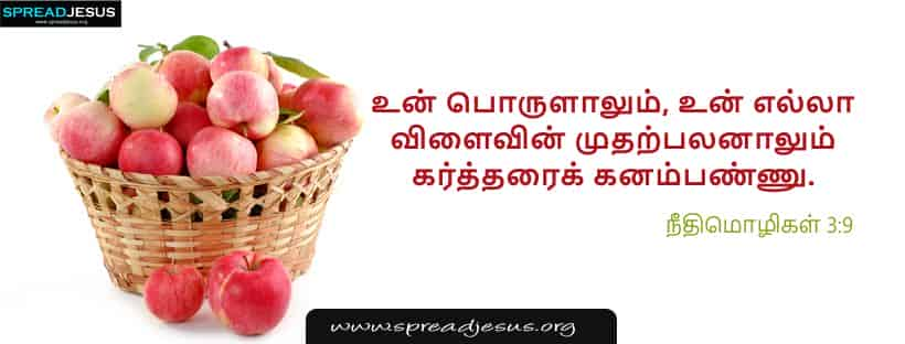  Tamil Bible Quotes Facebook cover Proverbs 3:9