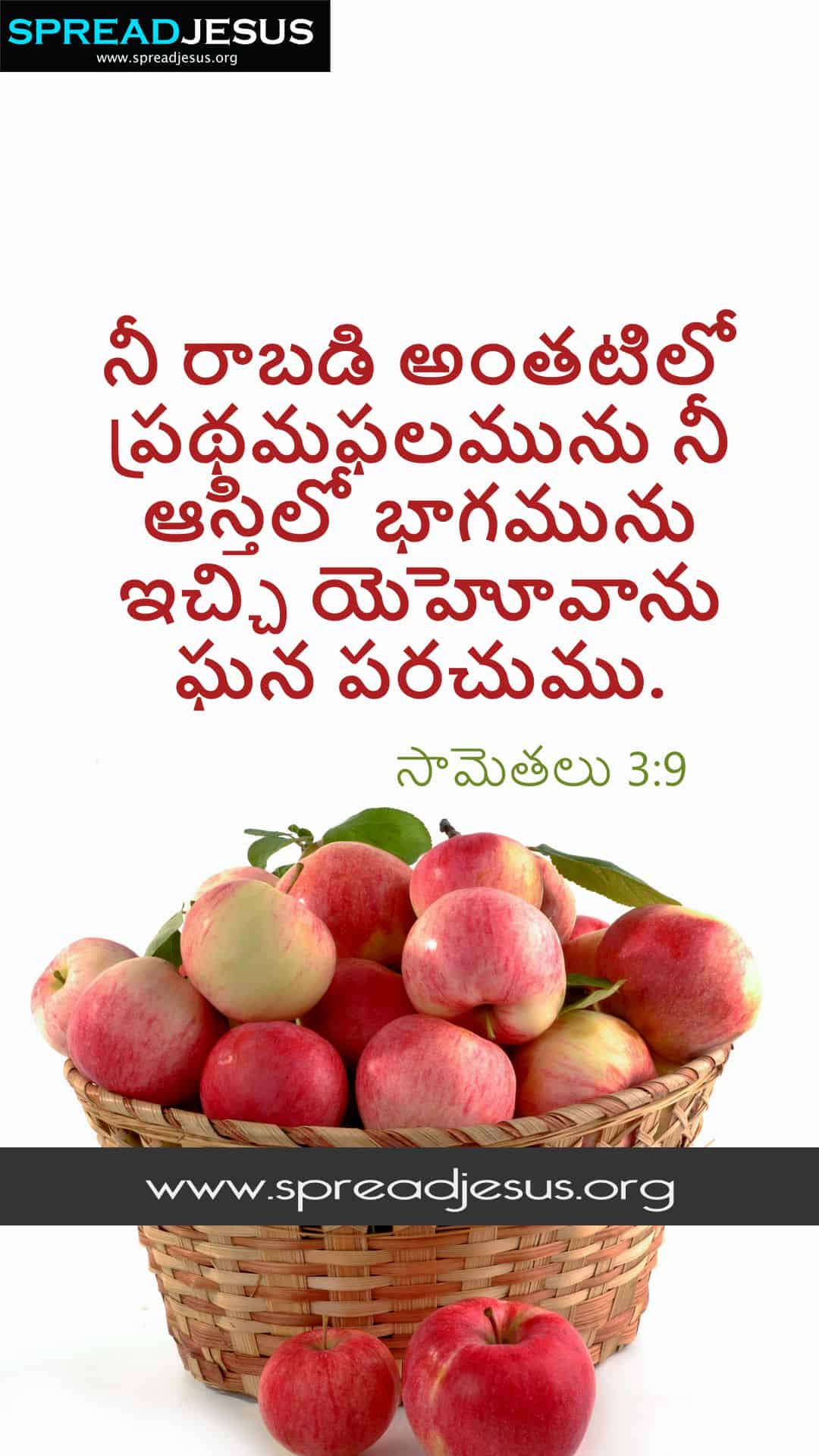 Proverbs 3:9 Telugu Bible Quotes సామెతలు 3:9 Mobile Wallpaper, Facebook ...