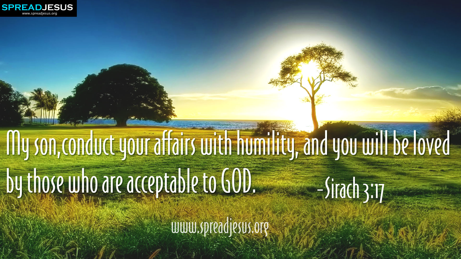 CHRISTIAN HD WALLPAPERS: HOLY BIBLE QUOTES : Sirach 3:17-My son,conduct your affairs with humility, and you will be loved by those who are acceptable to GOD. -Sirach 3:17