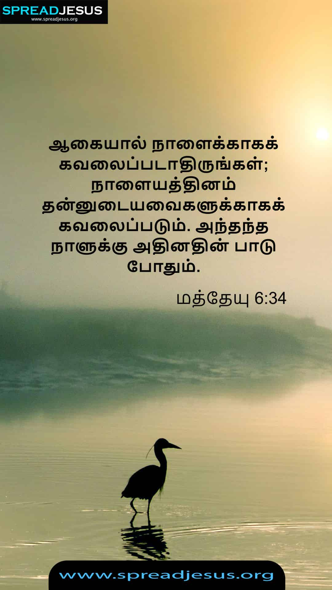 Tamil Bible Quotes Matthew 6:34