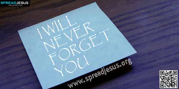 I Will Nerver Forget You
