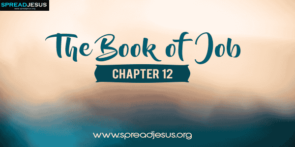 The Book of Job Chapter-12