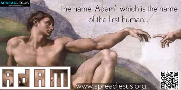 Biblical Definition Of ADAM