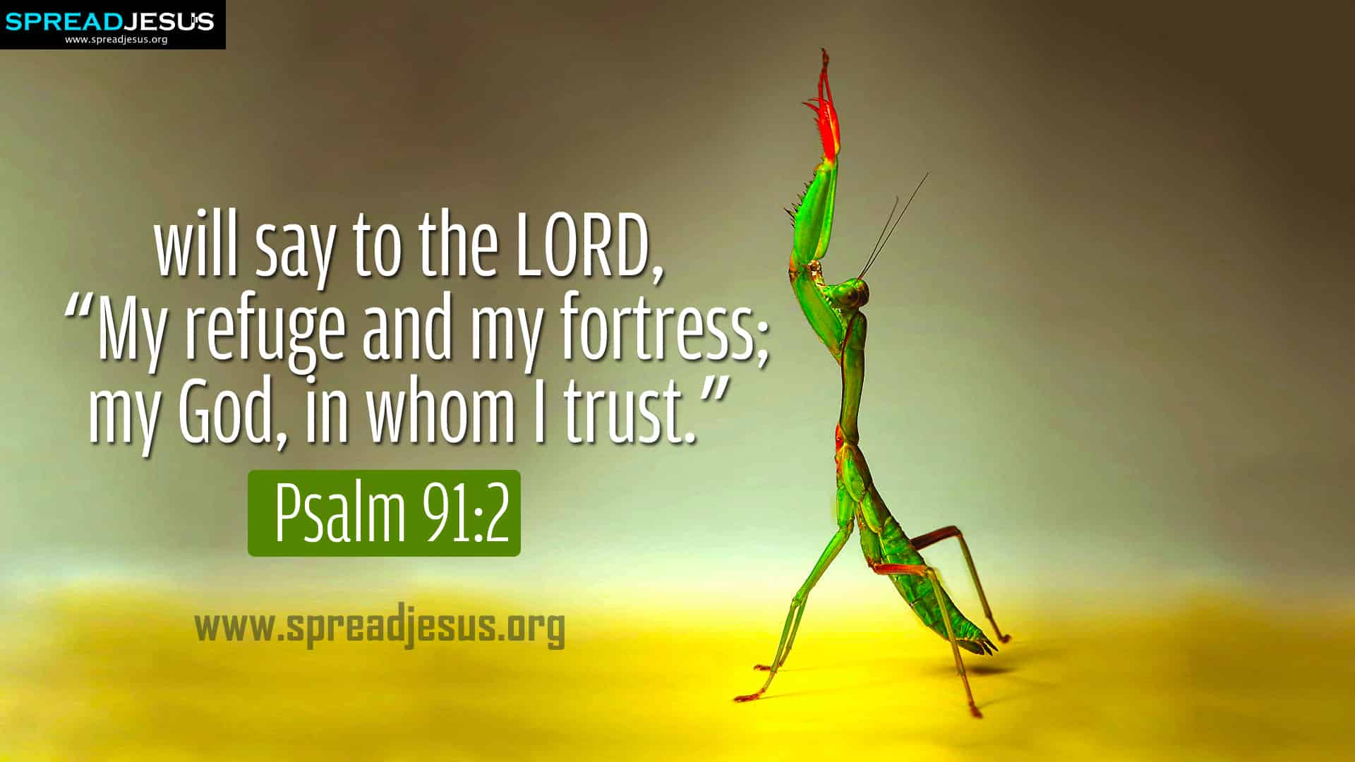 Psalm 912 Bible Quotes Hd Wallpapers Free Download