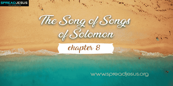 The Song of Songs of Solomon Chapter-8