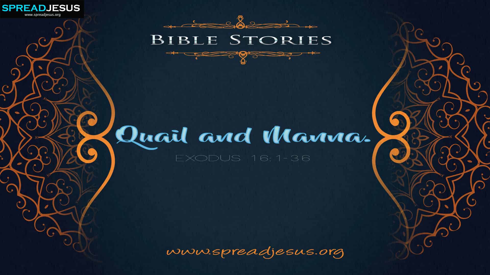 Quail and Manna
