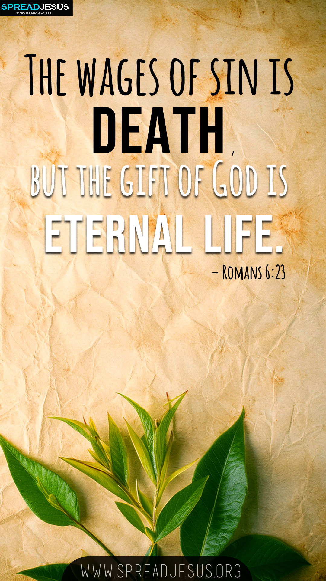 Bible Verse Mobile Wallpapers Romans 6:23 WhatsApp Status