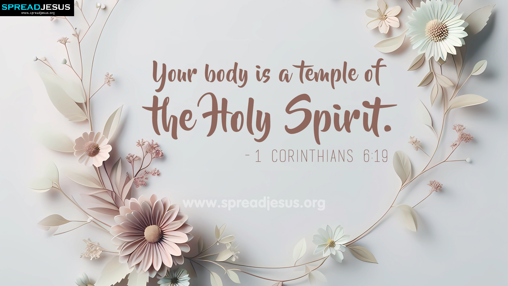 Download Beautiful Bible Verse 1 Corinthians 6:19 Wallpapers