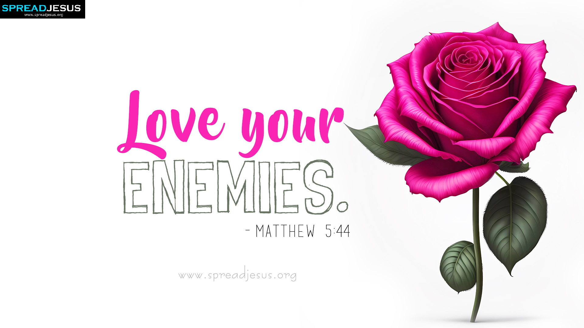 Faith-Filled Bible Verse Matthew 5:44 HD Wallpapers