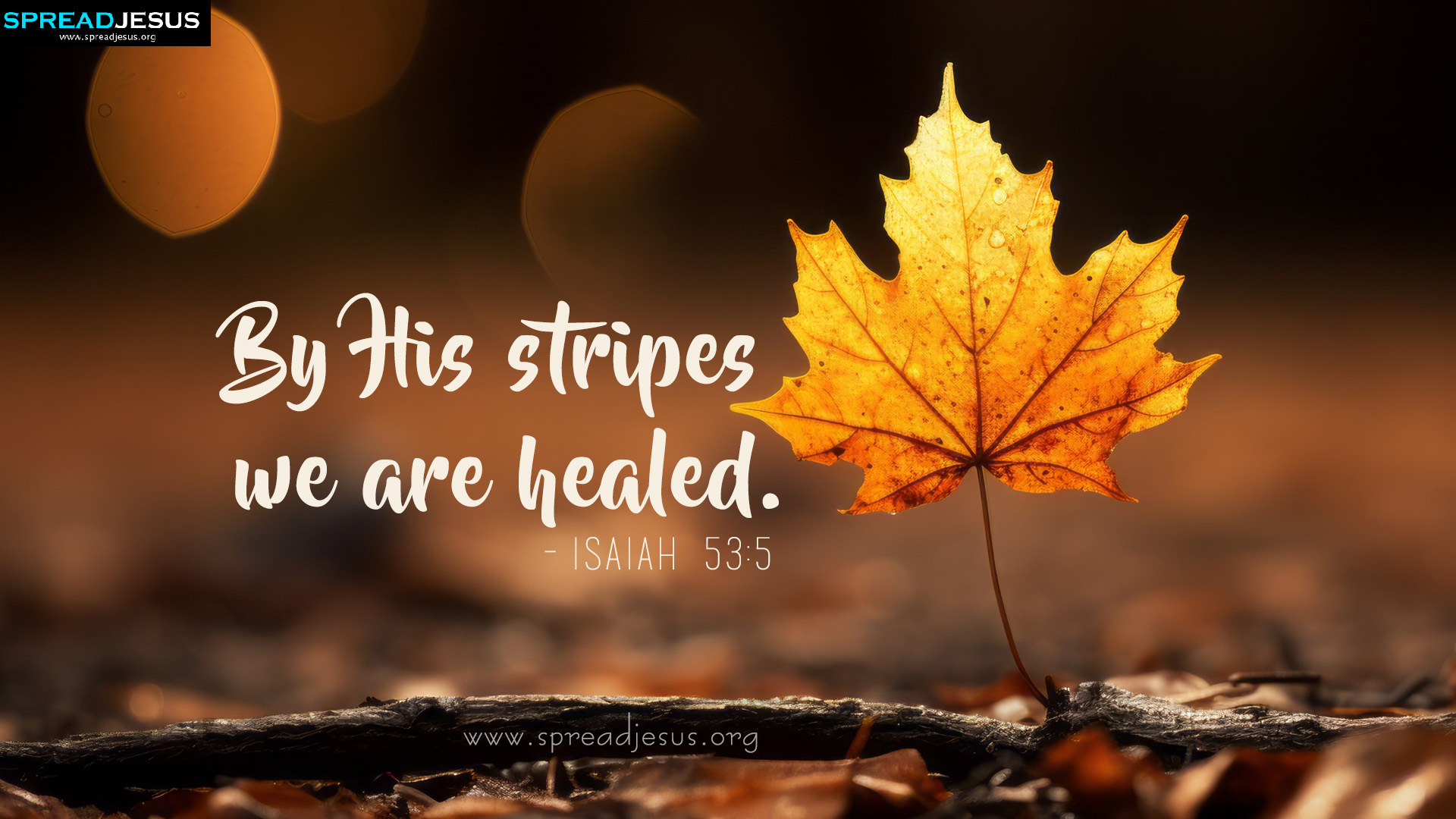 Daily Bible Verses Isaiah 53:5 Stunning HD Wallpapers Download