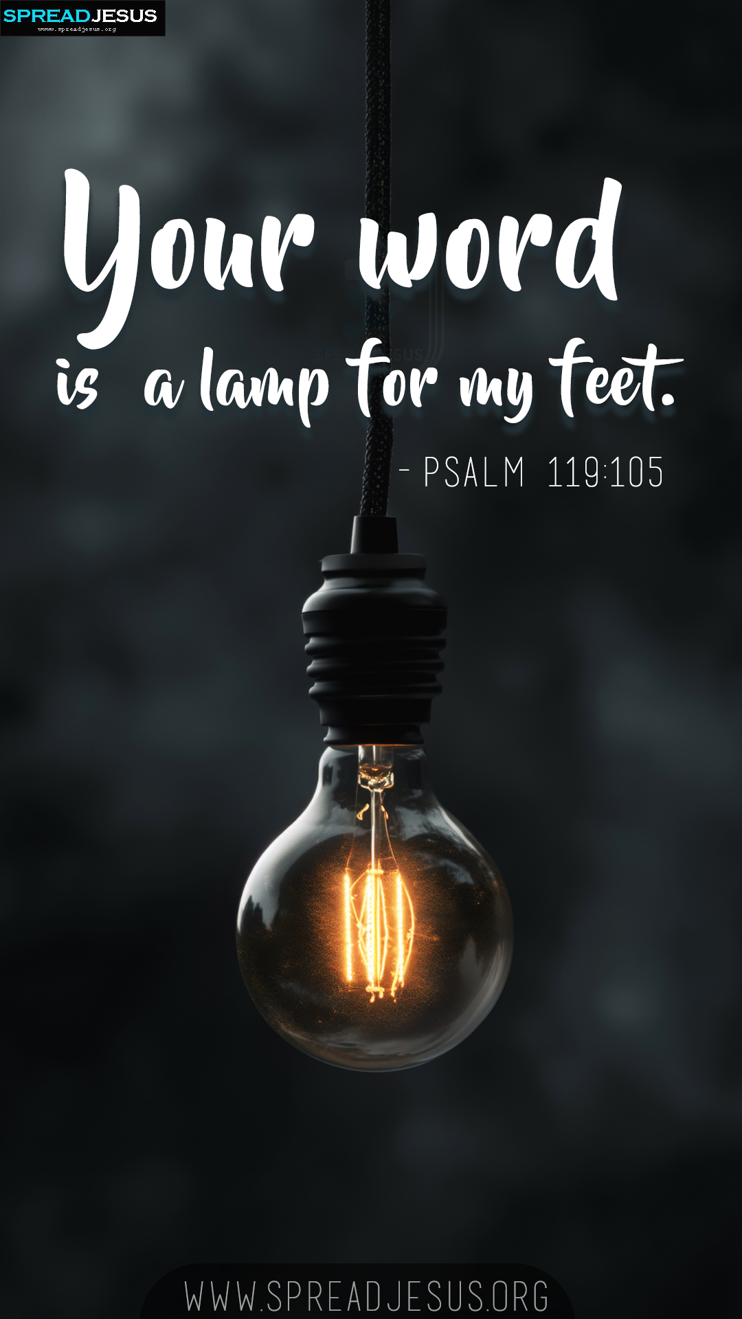 Beautiful Bible Verse Psalm 119:105 Wallpapers WhatsApp Status