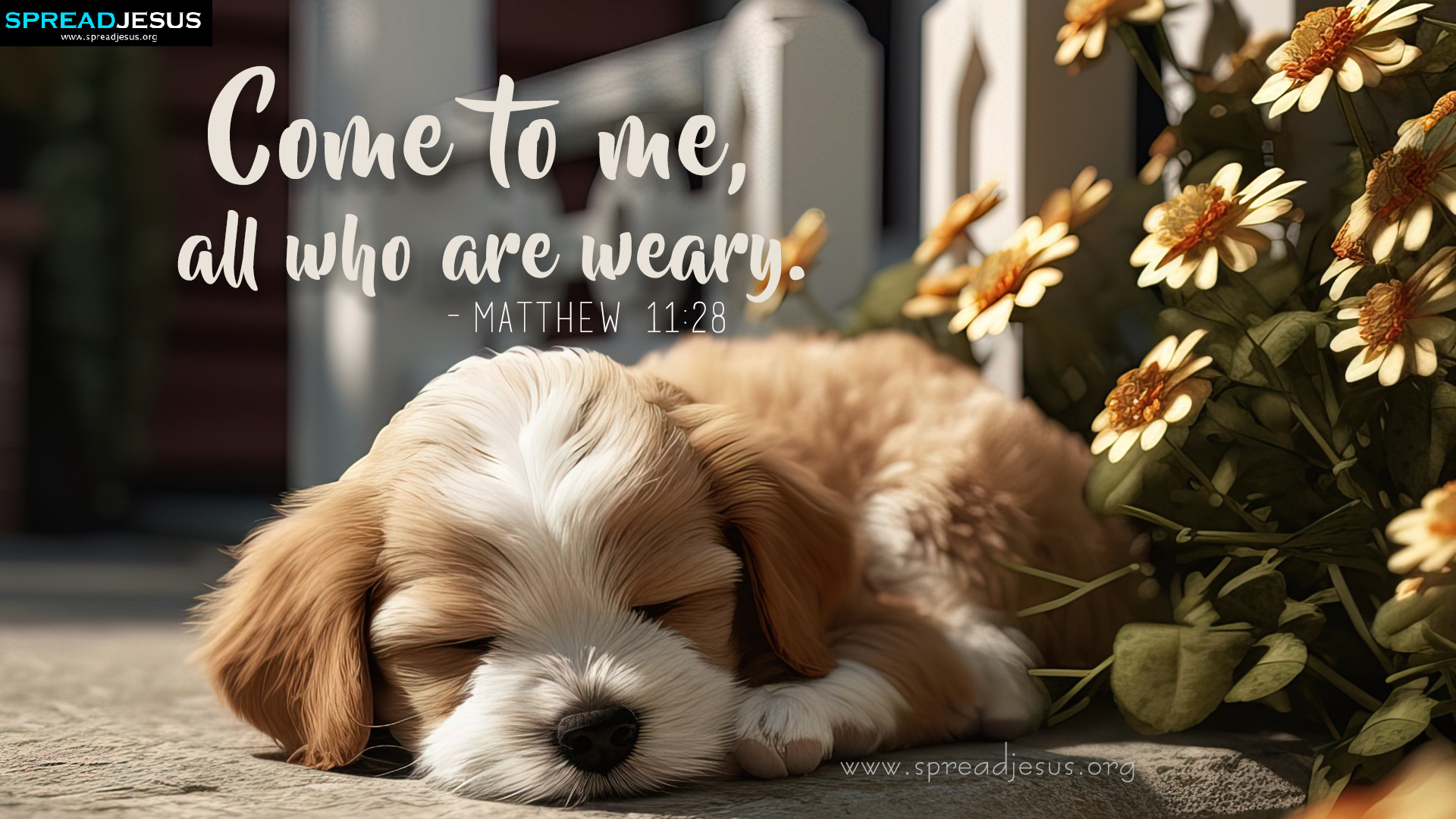 Beautiful Christian Bible Verse Matthew 11:28 Wallpapers HD