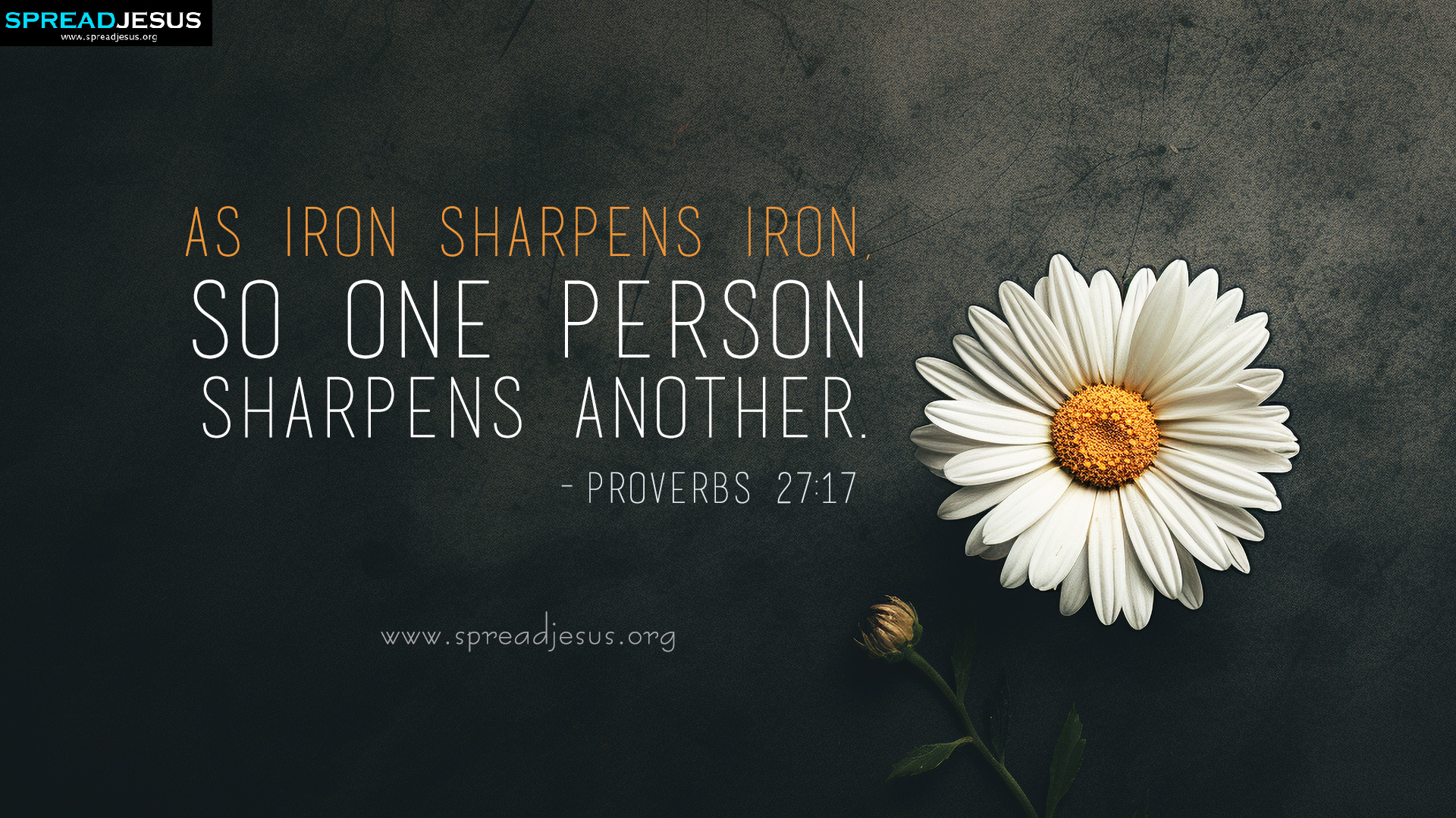 Daily Bible Verse Wallpapers Proverbs 27:17 in HD Download