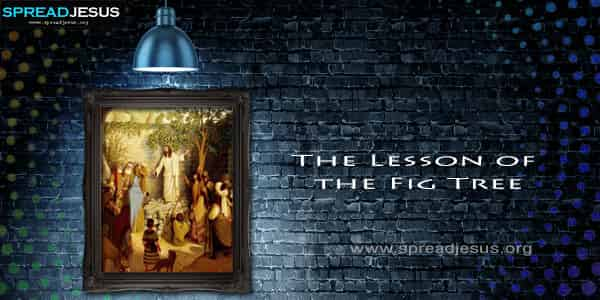 The Lesson of the Fig Tree