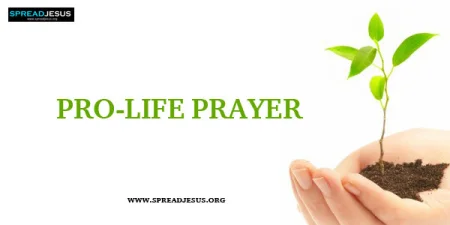 Pro-Life Prayer-Unite in Faith for the Unborn