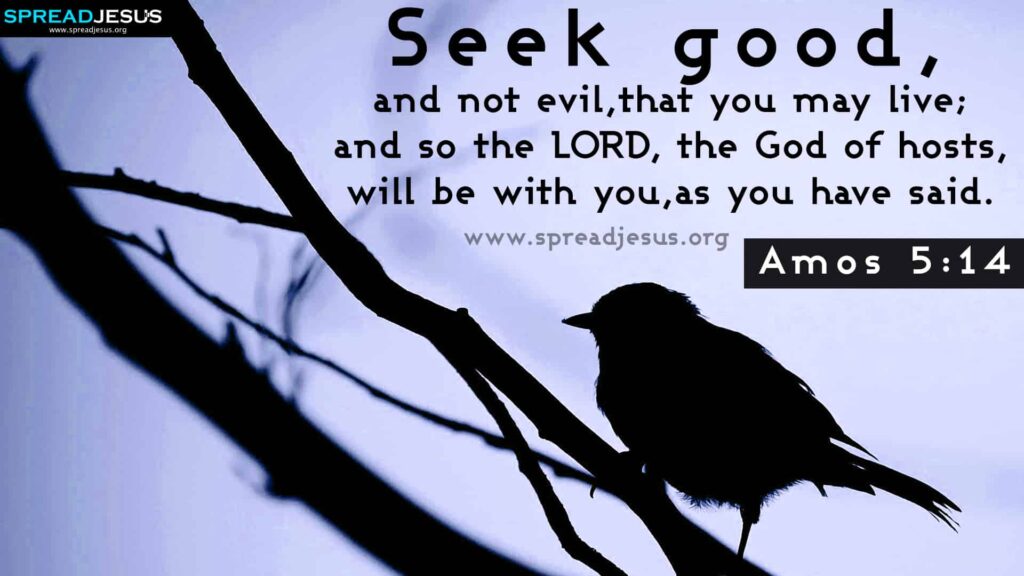 Bible Quotes HD Wallpapers Amos 5:14 Download