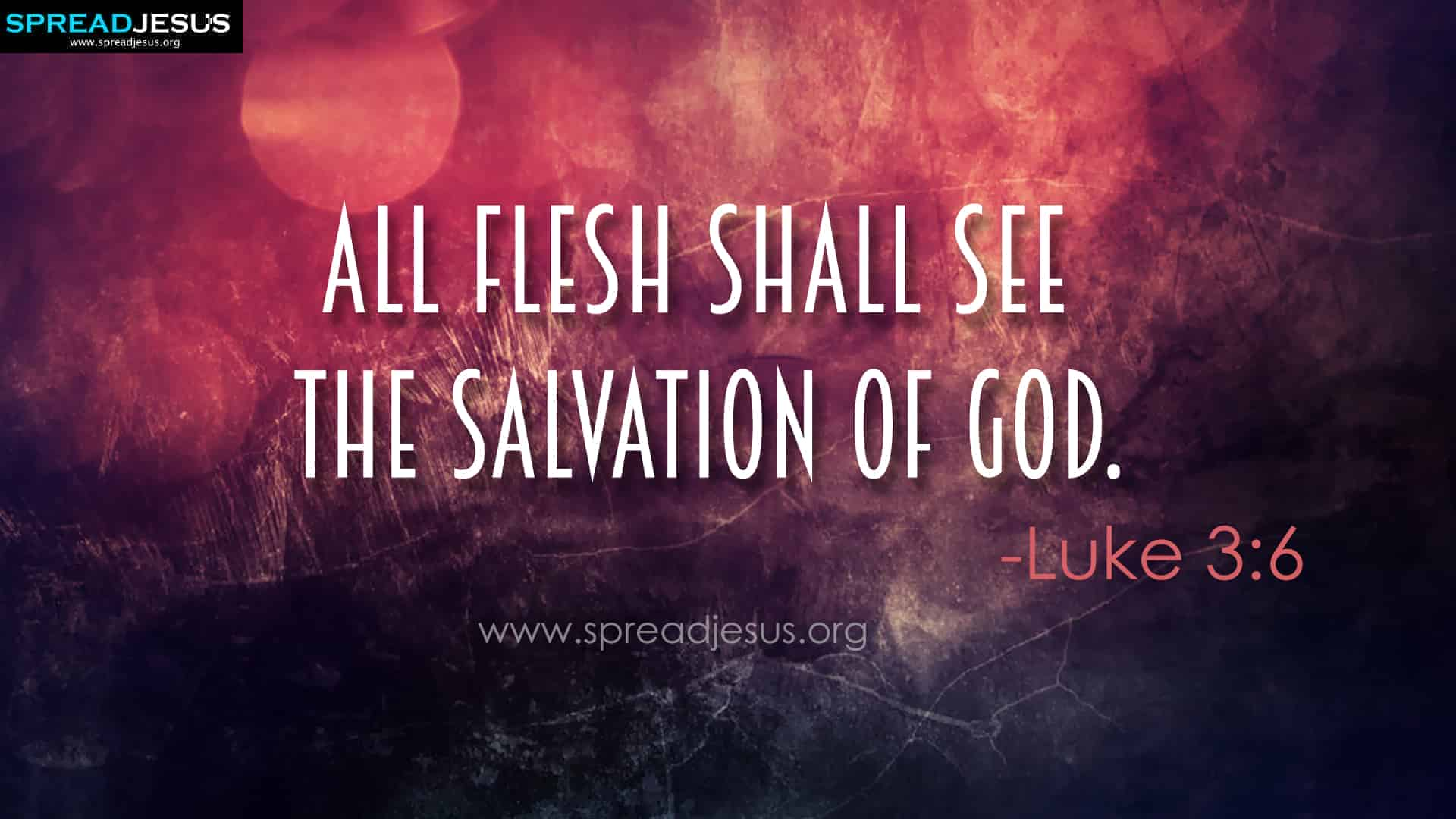 Bible Quotes HD Wallpaper – Luke 3:6: God’s Salvation for All