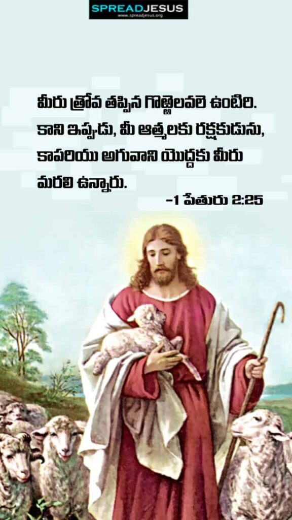 Telugu Bible Quotes Mobile Wallpaper 1 Peter-2:25 Download