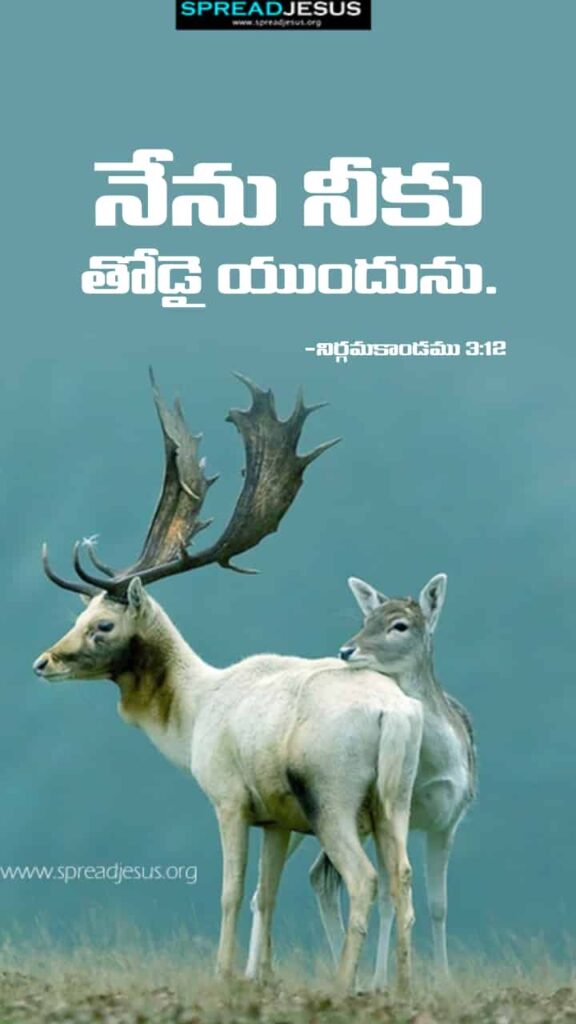 Telugu Bible Quotes Mobile Wallpaper Exodus-3:12 Download