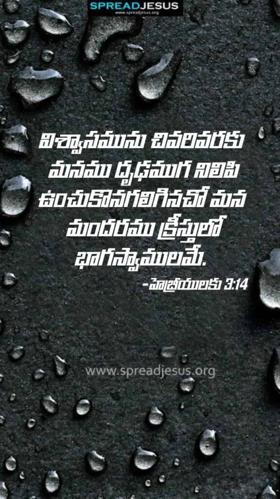 Telugu Bible Quotes Mobile Wallpaper Hebrews-3:14 Download