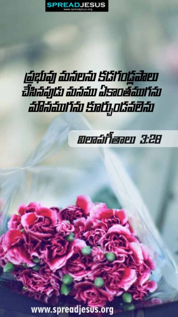 Telugu Bible Quotes Mobile Wallpaper Lamentations-3:28 Download