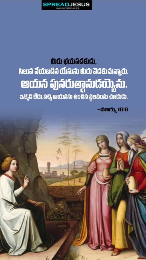 Telugu Bible Quotes Mobile Wallpaper Mark-16:6 Download