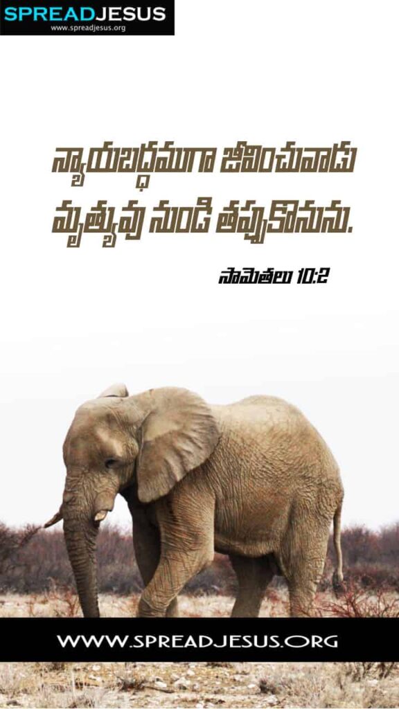 Telugu Bible Quotes Mobile Wallpaper Proverbs-10:2b Download