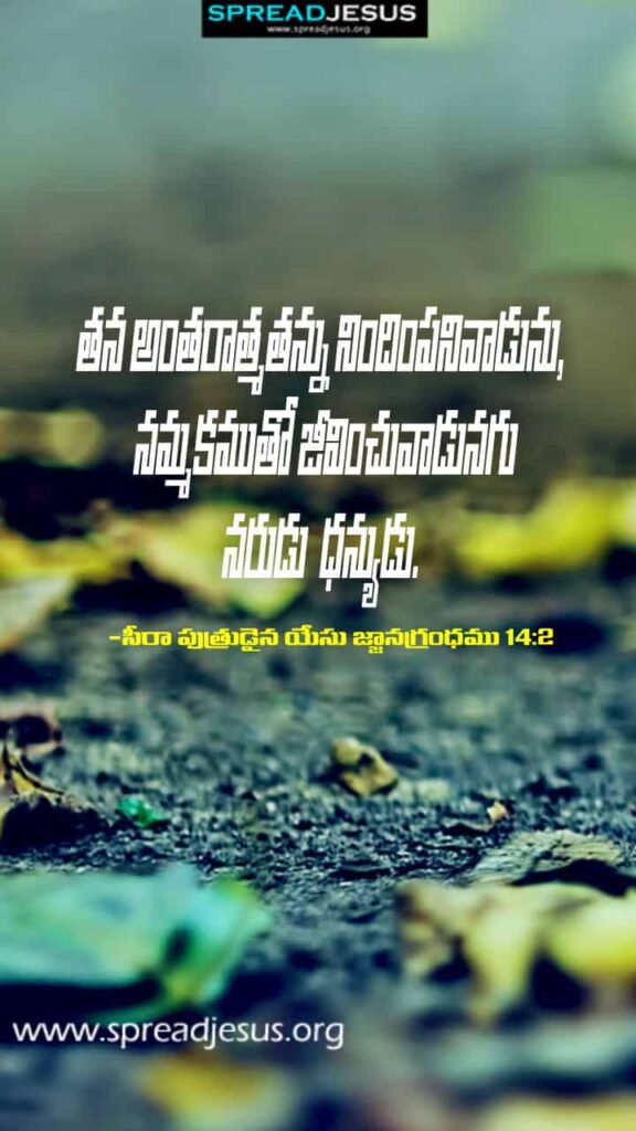 Telugu Bible Quotes Mobile Wallpaper Sirach-14:2 Download