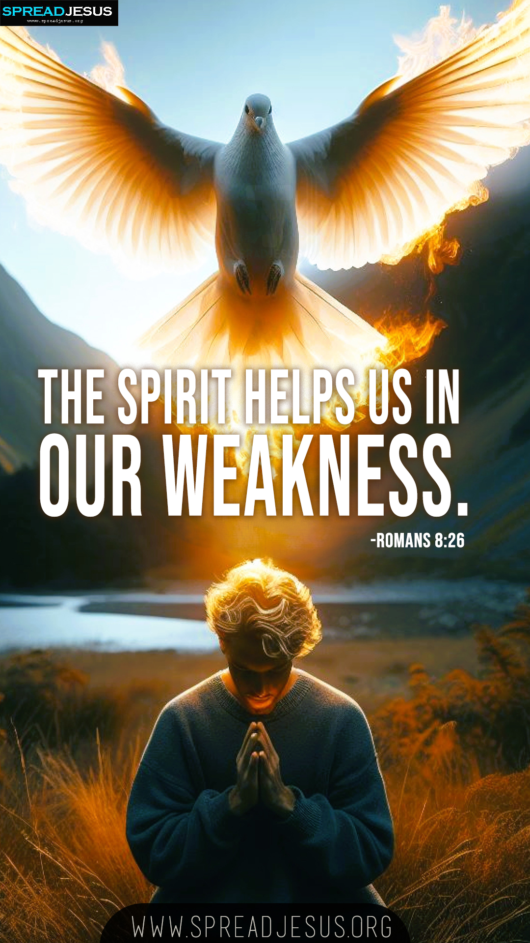 Bible Quotes WhatsApp Status Romans 8:26 Download