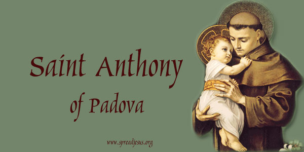 Saint Anthony of Padova - Life, Miracles, and Legacy 2 Saint Anthony of Padova -Catholic Saint Life, Miracles, and Legacy