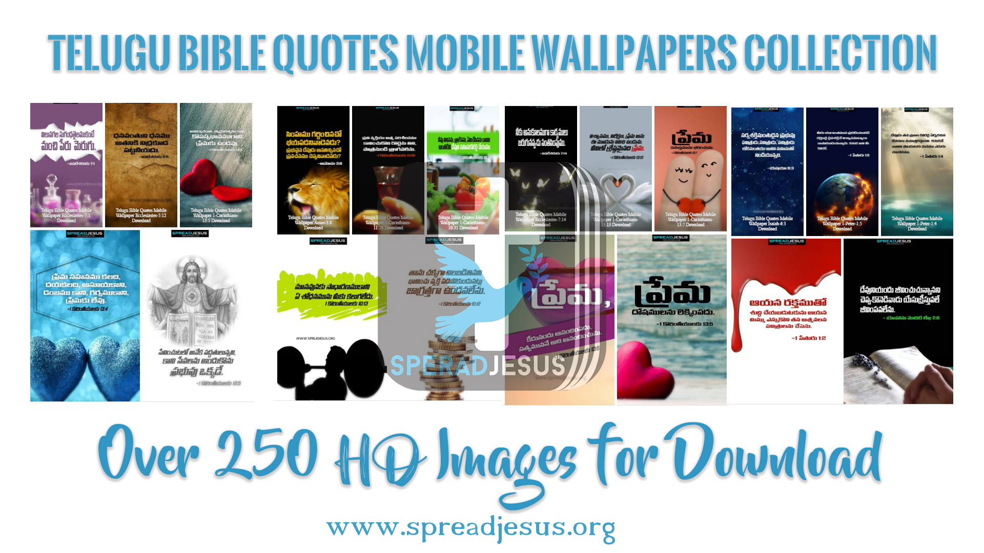 ✝Telugu Bible Quotes WhatsApp Status Bible Verses Collection pack Download
