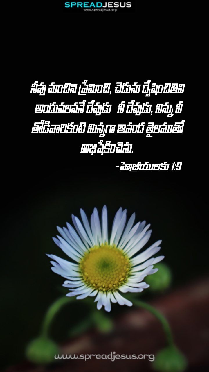 Telugu Quotes WhatsApp Status Bible Verses Mobile Wallpapers Collection Hebrews 1:9