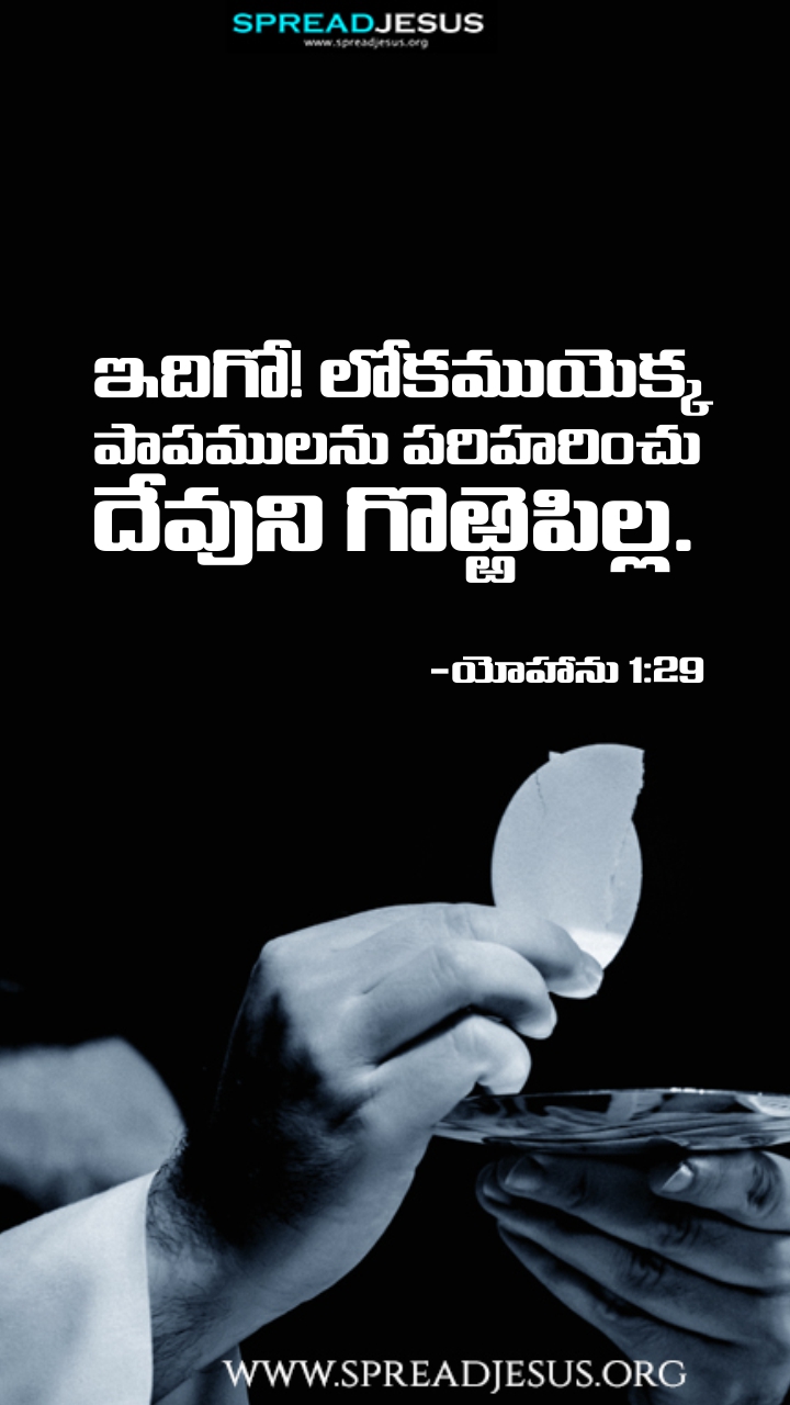 Telugu Quotes WhatsApp Status Bible Verses Mobile Wallpapers Collection John 1:29