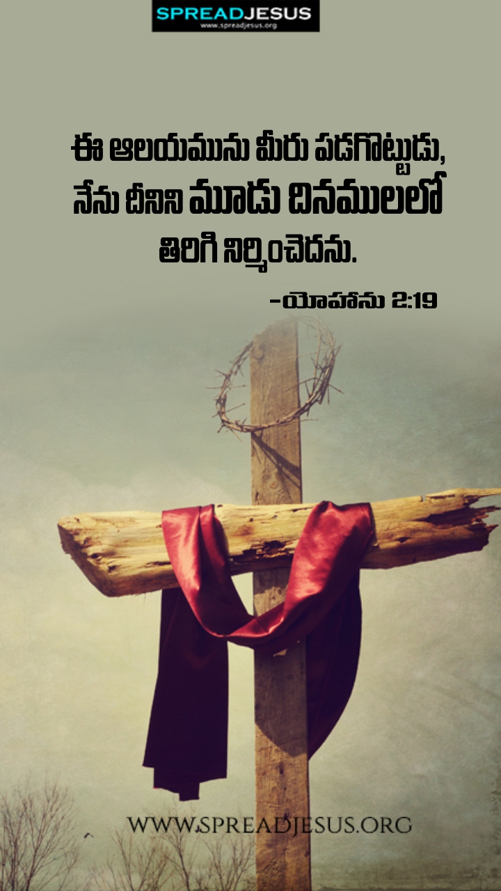 Telugu Quotes WhatsApp Status Bible Verses Mobile Wallpapers Collection John 2:19