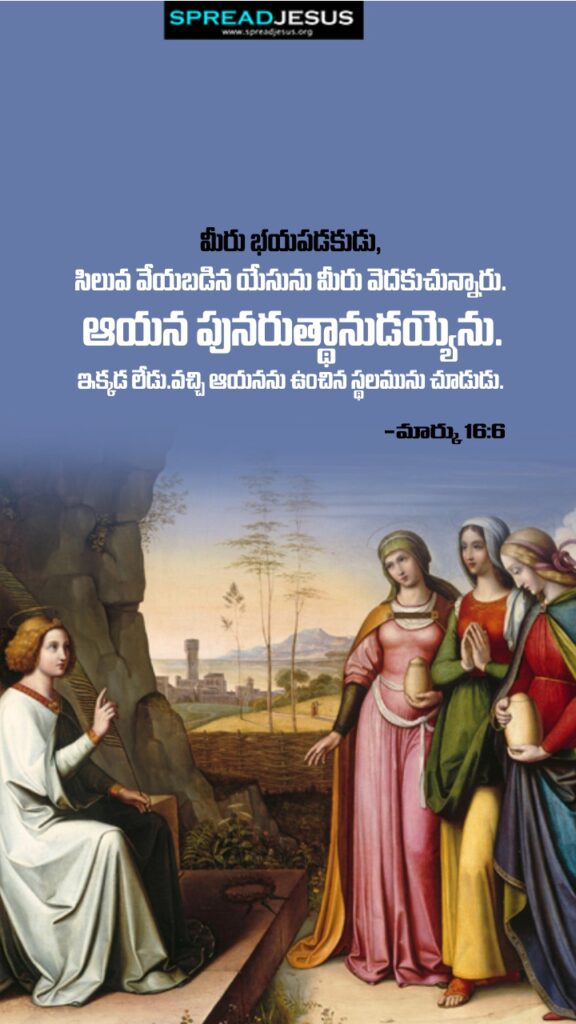 Telugu Quotes WhatsApp Status Bible Verses Mobile Wallpapers Collection Mark 16:6