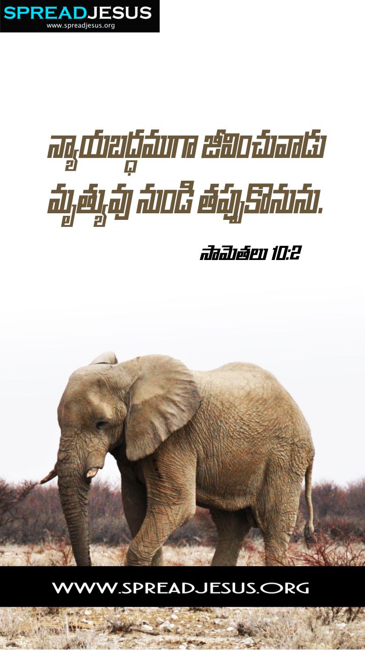 Telugu Quotes WhatsApp Status Bible Verses Mobile Wallpapers Collection Proverbs 10:2b